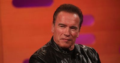 Arnold Schwarzenegger fills in 'pothole that was actually a trench for gas work'