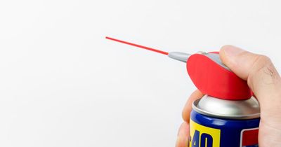 People only learning what WD-40 stands for as some share funny guesses