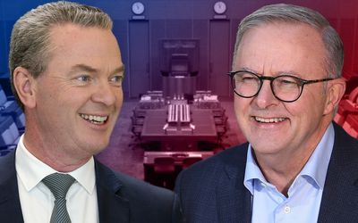 Unrepentant partisan, unlikely friend: Christopher Pyne’s verdict on Albanese