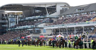 Grand National sweepstake kit 2023: Print our free guide with full runners and riders