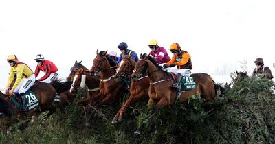 Get your downloadable Grand National sweepstake kit here