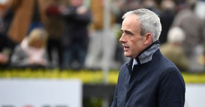 Grand National 2023 tips: Ruby Walsh and horse racing experts' selections for Aintree