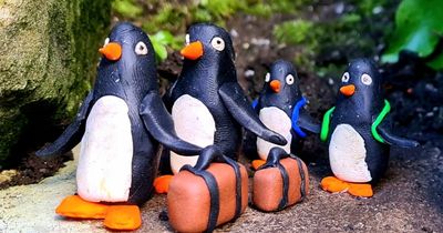 The artist behind Glasgow's Kelvin Walkway penguins and why the figures have been spreading joy