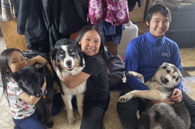 A lost dog treks 150 miles across Alaskan sea ice before he's reunited with his family