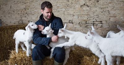 Emmerdale's Kelvin Fletcher welcomes adorable new addition to family farm as fans make TV plea
