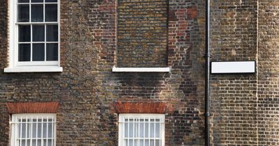 People are just learning why some buildings have bricks instead of glass windows