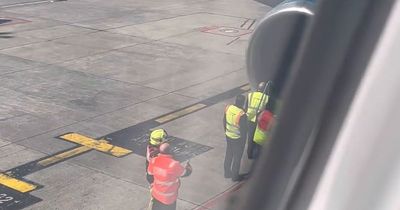 Flock of birds hit plane engine and spark emergency landing at Dublin Airport