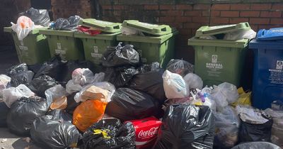 Glasgow west end bins not emptied for a month due to major roadworks