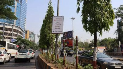 30 Ashoka trees illegally cut for better display of ads in Navi Mumbai's Vashi