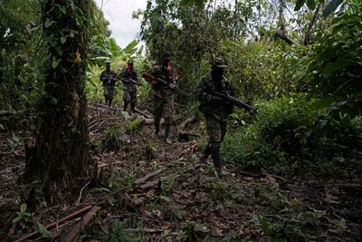 Exclusive-Colombian armed groups and gangs have 17,600 members, intelligence reports find