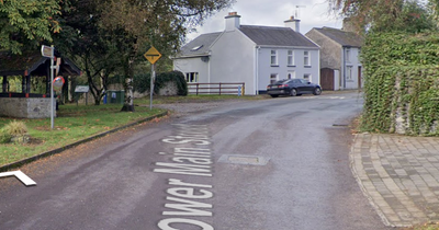 Man dies after being hit by van in Cork as gardai launch witness appeal