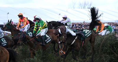 Grand National runners 2023 for Saturday's big race at Aintree