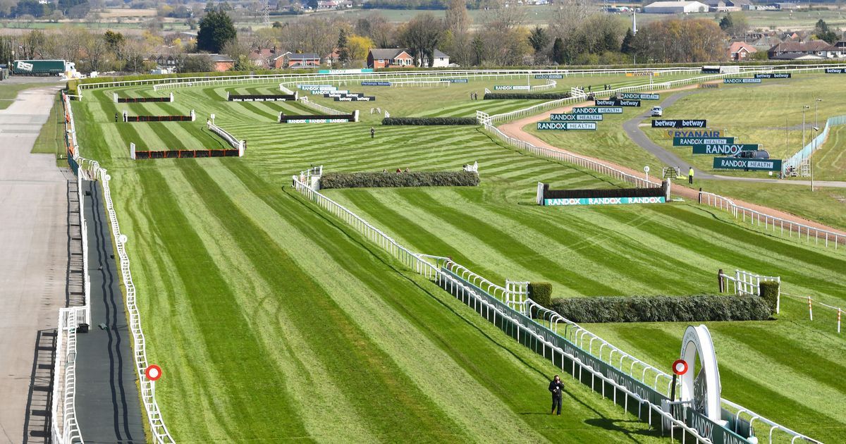 Grand National 2023 Horse dies on opening day at…