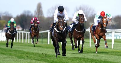 Grand National 2023: Constitution Hill stars again at Aintree