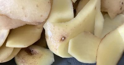 Mum does 'double take' after spotting seal pup in potato peelings while prepping lunch