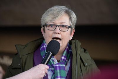 Joanna Cherry: Peter Murrell 'very lucky' not to have been suspended from SNP