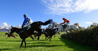 Horse dies after falling at Grand National meeting