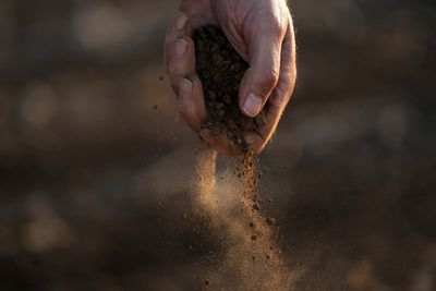 As Earth warms, more 'flash droughts' suck soil, plants dry