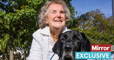 Guide dogs crisis could leave Pride of Britain winner housebound when helper retires