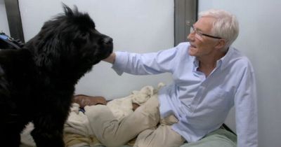 Paul O'Grady fans left sobbing over late star's TV return weeks after 'unexpected' death