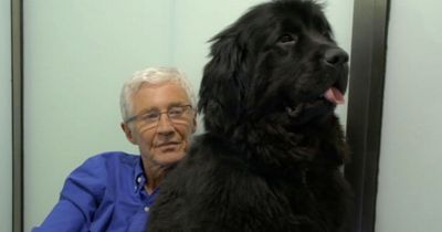 Paul O'Grady's fans in tears over poignant goodbye to rescue dog before his death
