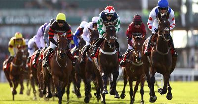 Grand National 2023 sweepstake kit: Free download ahead of Aintree's showpiece race