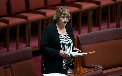 ‘Prove it’s not happening’: Indigenous senator backs Dutton