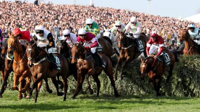The Grand National in facts and figures