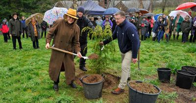 Tree planted in memory of former Lord Lieutenant of the Stewartry