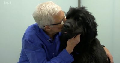 Paul O'Grady For The Love Of Dogs viewers in tears over 'I've got to go' goodbye message as ITV pay 'silent' tribute to late star