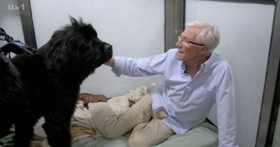 ITV Paul O'Grady For The Love Of Dogs viewers in tears at his goodbye filmed before sudden death