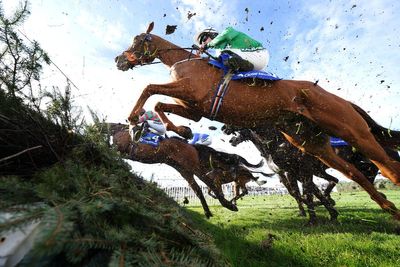 Grand National 2023: Pinstickers’ guide to all the runners and riders in Saturday’s Aintree race