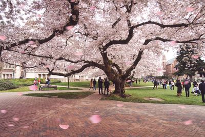 The Best U.S. Cities for People With Hay Fever