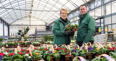 West Lothian garden centre inviting people to vote for local good cause