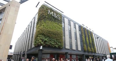 M&S shoppers spot £45 'to-die-for-bag' that's a dupe of £400 Loewe version