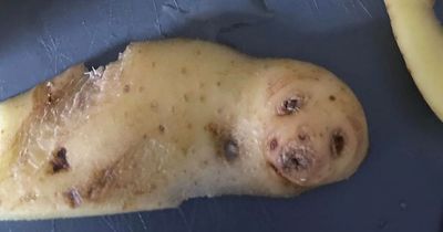 Mum finds bizarre 'baby seal' in her Easter Sunday dinner