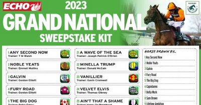 Grand National 2023 sweepstake kit: Free download to print ahead of Aintree showpiece