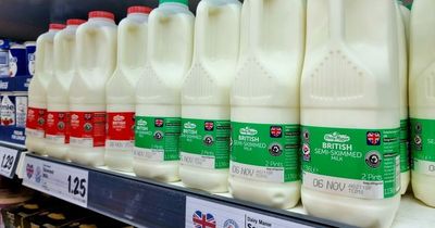 Aldi and Lidl the latest supermarkets to cut the price of milk