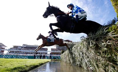 Aintree ‘shames British racing’ with horse death says animal rights organisation