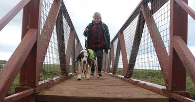 Stirlingshire sanctuary owner lets blind dogs lead the way on epic walk fundraiser