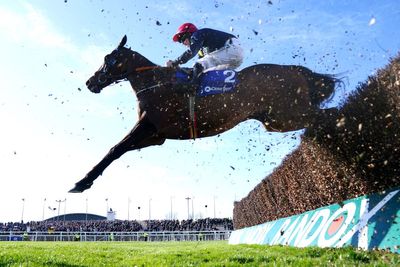 Activists plan to scale Aintree’s fences onto Grand National track