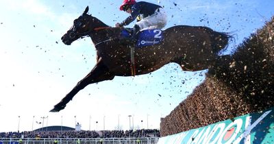 Animal rights activists plan to scale fences at Aintree and disrupt Grand National