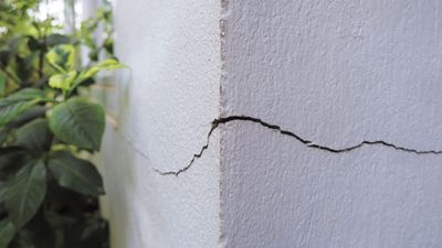 How to fix cracks in plaster walls – 4 steps recommended by experts