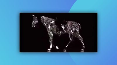 Mind-boggling horse optical illusion stumps the internet
