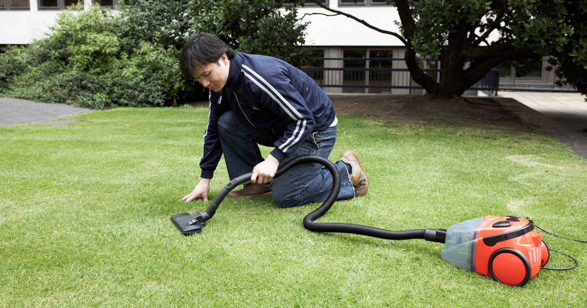 People divided over whether it's normal to vacuum your…