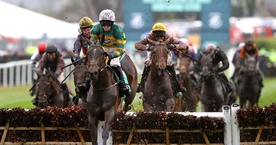 Grand National 2023 tips: Newsboy's winner and 1-2-3-4-5 for Aintree showpiece plus Nap
