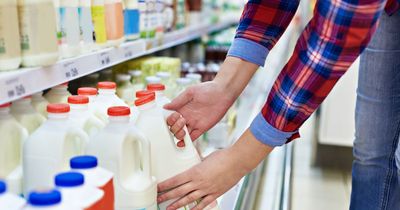 Lidl, Asda, Aldi and Sainsbury's follow Tesco as milk price war ramps up