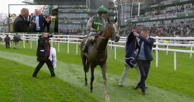 Irish syndicate celebrate dream Aintree win with horse that only cost €1,400