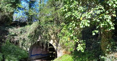 Inside Edinburgh's mysterious towpath tunnel that few locals know exist
