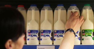 Supermarket price war as Aldi, Asda and Lidl follow Tesco and Sainsbury's to cut cost of milk